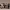 https://res.cloudinary.com/billionhands/image/upload/v1775549840/items/eipebdumar5ifja0efxo.jpg-1cover