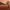 https://res.cloudinary.com/billionhands/image/upload/v1775549962/items/n6g3knbv6cdfl5dhgr1i.jpg-1cover