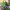 https://res.cloudinary.com/billionhands/image/upload/v1775549989/items/ynhx5olow8fymwk8ow5f.webp-0cover