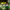 https://res.cloudinary.com/billionhands/image/upload/v1775549991/items/vnxcf6ymg3gzzedfcbjb.webp-2cover