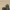 Yankee Hotel Foxtrot – Wilco (2002) cover