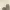 https://res.cloudinary.com/billionhands/image/upload/v1775550165/items/egufvz9ejs1wafjbebx2.jpg-3cover