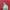 https://res.cloudinary.com/billionhands/image/upload/v1775550239/items/a8b02ubzxpfghpi12rzd.jpg-0cover