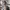 Carrie Coon como Nora Durst (The Leftovers) cover
