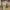 https://res.cloudinary.com/billionhands/image/upload/v1775550383/items/kclskeclrxnvyjs2tvy6.webp-2cover