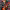 https://res.cloudinary.com/billionhands/image/upload/v1775550404/items/oqoftvsvuzbatj0ylzpu.jpg-2cover