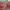 https://res.cloudinary.com/billionhands/image/upload/v1775550412/items/weu5qbwfgo93pas0ukbp.jpg-3cover
