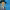 https://res.cloudinary.com/billionhands/image/upload/v1775550430/items/ibdtselxzhqcl0mvwjp3.jpg-0cover