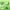 https://res.cloudinary.com/billionhands/image/upload/v1775550583/items/bu2salqufqjgaapramsi.jpg-1cover