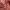 https://res.cloudinary.com/billionhands/image/upload/v1775550591/items/mfjstlbfdi6opwjhvkw3.webp-2cover