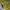 https://res.cloudinary.com/billionhands/image/upload/v1775550591/items/r2fqy7z2ap4yt6b1t62h.jpg-1cover
