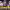 https://res.cloudinary.com/billionhands/image/upload/v1775550667/items/jmsfuhjolobj9ypgtbhw.jpg-2cover