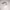 https://res.cloudinary.com/billionhands/image/upload/v1775550890/items/pcqoxmlhsdh49grmcfwj.avif-1cover