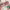 https://res.cloudinary.com/billionhands/image/upload/v1775550931/items/dvskwmzut2egxavdqdtl.jpg-2cover