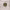 https://res.cloudinary.com/billionhands/image/upload/v1775550991/items/svdmcltecjvvtwsojzwr.jpg-1cover