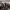 https://res.cloudinary.com/billionhands/image/upload/v1775550995/items/dhud5p9oex1lkuri4bxp.jpg-1cover