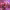 https://res.cloudinary.com/billionhands/image/upload/v1775550996/items/bsqbq6r00v0cypihoh09.jpg-3cover