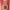 https://res.cloudinary.com/billionhands/image/upload/v1775550998/items/eqsrq3hcalplzq2tfk1h.jpg-1cover