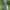 https://res.cloudinary.com/billionhands/image/upload/v1775551146/items/lnvuibdq1t4wq3htkvmz.jpg-3cover