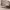 https://res.cloudinary.com/billionhands/image/upload/v1775551330/items/vvayteazpn2esd7rekkz.jpg-3cover