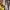 https://res.cloudinary.com/billionhands/image/upload/v1775551348/items/tn5bskavtfbcmnj1ohnv.jpg-0cover