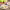 https://res.cloudinary.com/billionhands/image/upload/v1775551436/items/m6iwgyuxht9iorlpyiaw.png-1cover