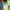 https://res.cloudinary.com/billionhands/image/upload/v1775551456/items/gswbsh5bxqlpvoewgjpx.jpg-2cover