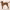 Coonhound Redbone cover