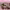 https://res.cloudinary.com/billionhands/image/upload/v1775551549/items/vbjwcqcmvjm3y4ig6cuz.png-2cover