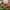 https://res.cloudinary.com/billionhands/image/upload/v1775551552/items/ndpb2r7ytveamd1wxcy1.jpg-0cover