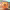 https://res.cloudinary.com/billionhands/image/upload/v1775551553/items/oaoze0lejpgpfgitvcsw.png-0cover