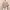 https://res.cloudinary.com/billionhands/image/upload/v1775551572/items/qjdbrztk8lbhsnakzol8.webp-3cover