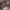 https://res.cloudinary.com/billionhands/image/upload/v1775551586/items/n9kfxbgqv3ntmwgihxdh.jpg-3cover