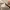 https://res.cloudinary.com/billionhands/image/upload/v1775551754/items/qkjr6t4oeukko0s55uea.jpg-1cover
