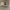 https://res.cloudinary.com/billionhands/image/upload/v1775551754/items/tc7pvlz362ewlk2qrlak.webp-3cover