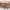 https://res.cloudinary.com/billionhands/image/upload/v1775551767/items/rfti7cchwyrthpvtqkwf.jpg-3cover
