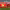 https://res.cloudinary.com/billionhands/image/upload/v1775551836/items/fp33bvu9069yg4a123od.png-2cover