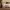 https://res.cloudinary.com/billionhands/image/upload/v1775551879/items/fh591yqhozbxqh6q9pnq.jpg-2cover