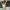 https://res.cloudinary.com/billionhands/image/upload/v1775551900/items/jthjy9zrbsbmi9pvqkic.jpg-0cover