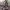 https://res.cloudinary.com/billionhands/image/upload/v1775551936/items/ezbiyta4w7gww81qnzca.jpg-2cover