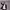 https://res.cloudinary.com/billionhands/image/upload/v1775552070/items/kl03mwhw5iji8solwltd.webp-2cover