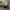 https://res.cloudinary.com/billionhands/image/upload/v1775552221/items/n9o7tptsoyr0ulvf6ksr.jpg-2cover