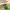 https://res.cloudinary.com/billionhands/image/upload/v1775552250/items/qk4nmvvmqyj3d1cvj1ui.jpg-3cover