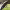 https://res.cloudinary.com/billionhands/image/upload/v1775552294/items/xeijyg2x2jcf0klu7csh.jpg-2cover