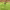 https://res.cloudinary.com/billionhands/image/upload/v1775552297/items/rb7h0udlxhiugtdl9vkt.webp-3cover