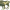 https://res.cloudinary.com/billionhands/image/upload/v1775552369/items/daxfnj1kfzgcptq3p1mu.png-1cover