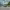 Andaz Mexico City Condesa Ballroom with terrace (Condesa, Mexico City) cover