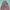 https://res.cloudinary.com/billionhands/image/upload/v1775552406/items/l0ok1ybtotfjrgg4ecna.jpg-0cover
