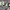 https://res.cloudinary.com/billionhands/image/upload/v1775552445/items/dstd2s4wwohplwc1woam.jpg-1cover
