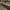 https://res.cloudinary.com/billionhands/image/upload/v1775552559/items/odtufgzknholtyvtfhcs.jpg-3cover